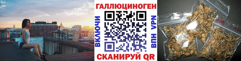 Галлюциногенные грибы Psilocybe  Купить где  Зеленогорск 
